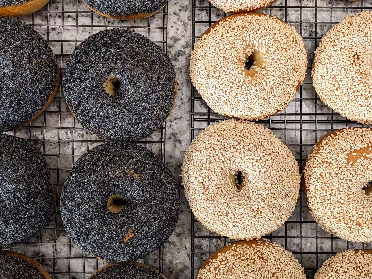 overhead shot of bagels on a cooling tray, poppy on the left and sesame on the right, all heavily seeded