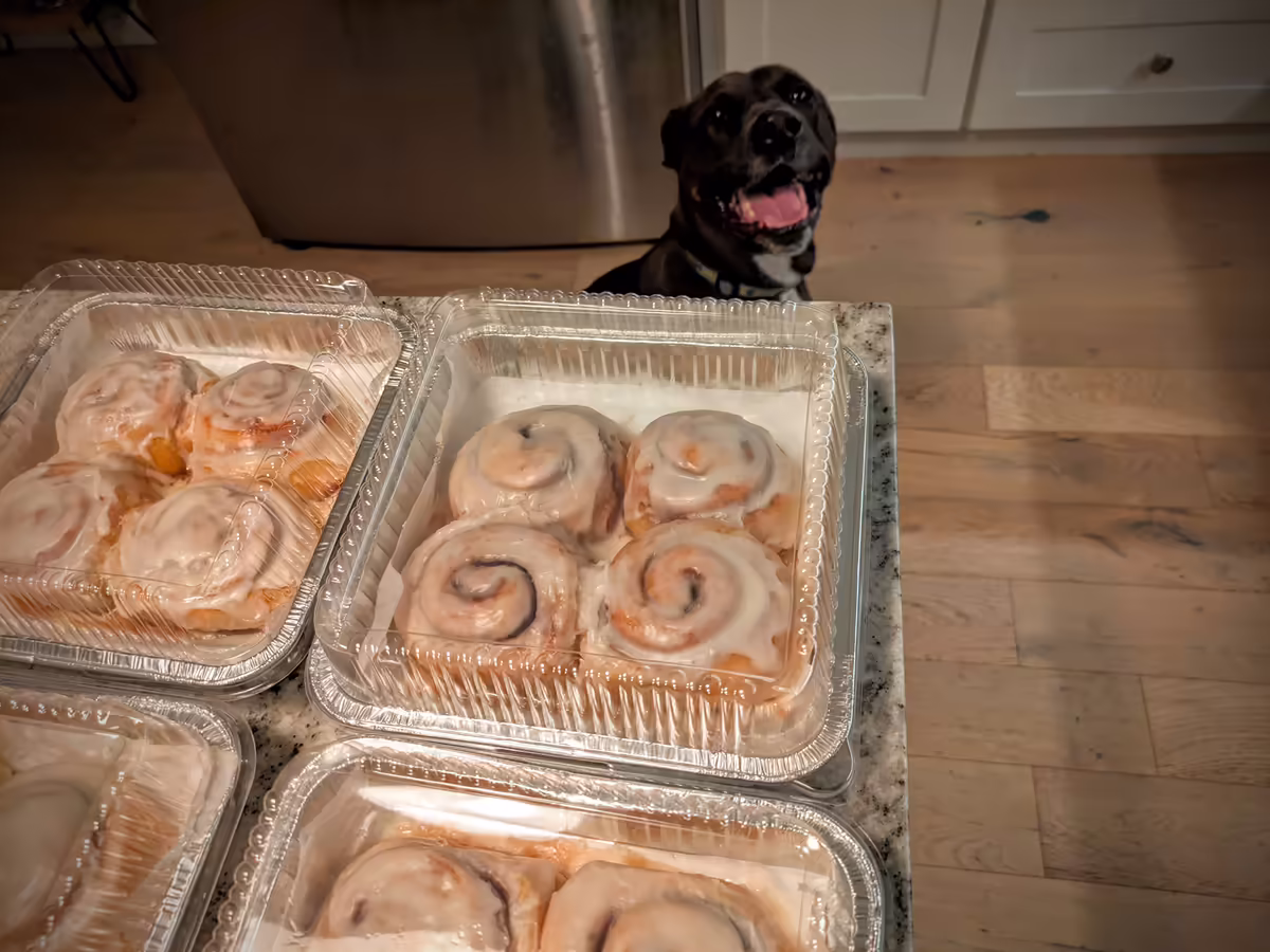 5 aluminum roast pans containing 6-8 cinnamon rolls in parchment slings