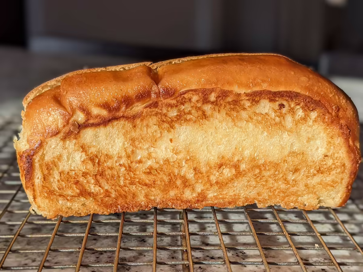 side-profile of a split-top hot dog bun, toasted in butter to a perfect golden-brown color.  It looks like a grilled cheese, but vertical.